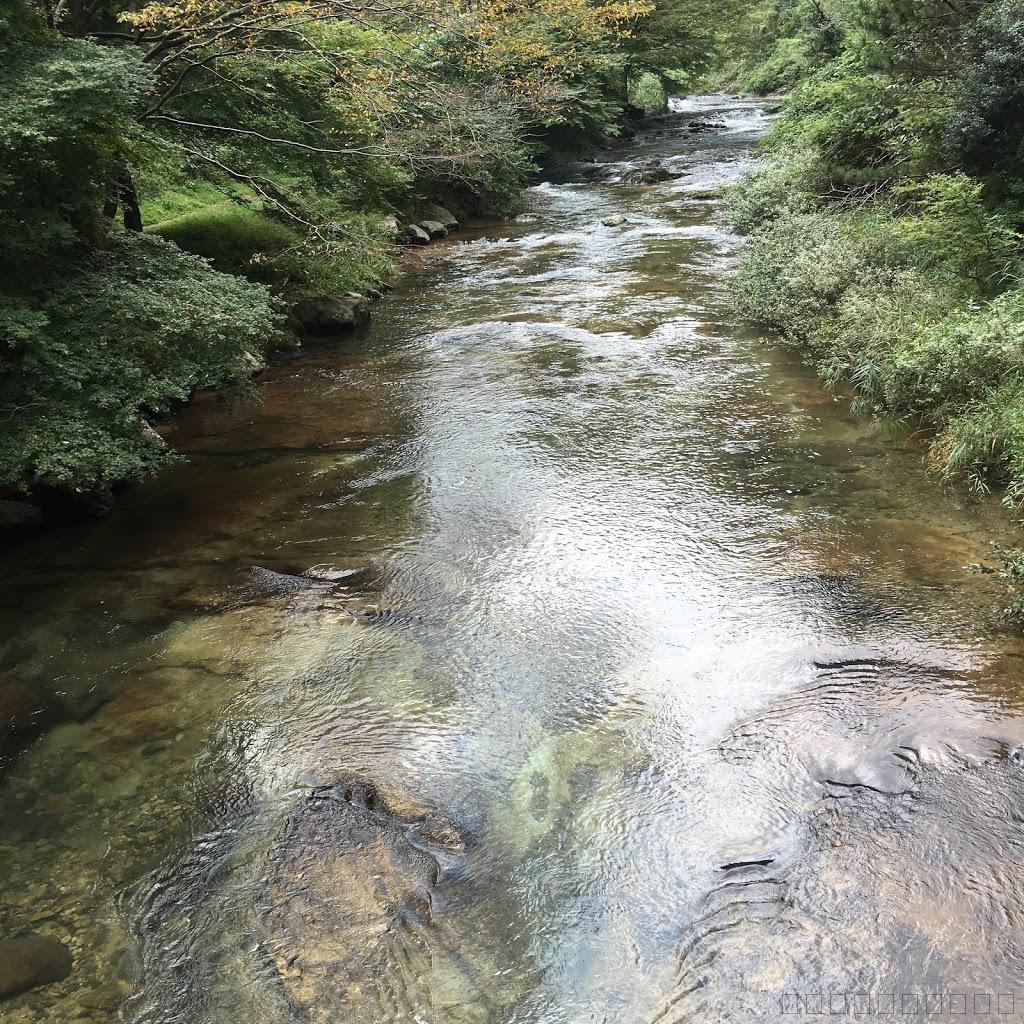 島根県の穴場スポット！八重滝